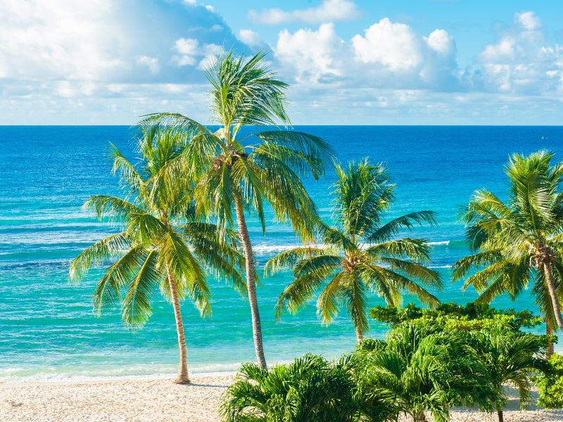 Barbados Beach Retreat
